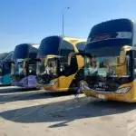 WhatsApp Image 2025-06-21 at 23.26.41